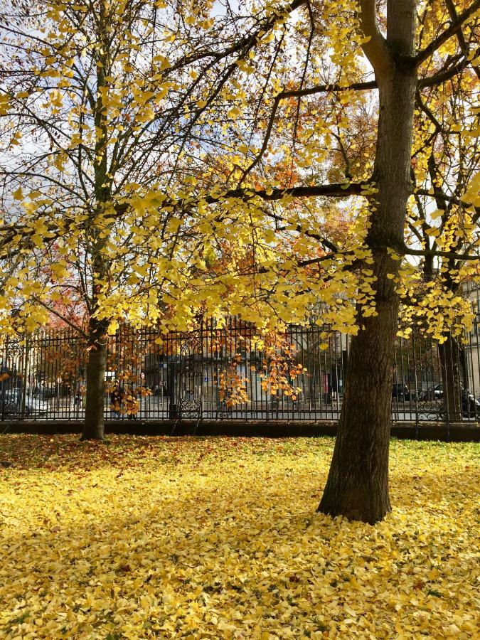 Romance Au Coeur De Bordeaux / Jardin Public Dış mekan fotoğraf