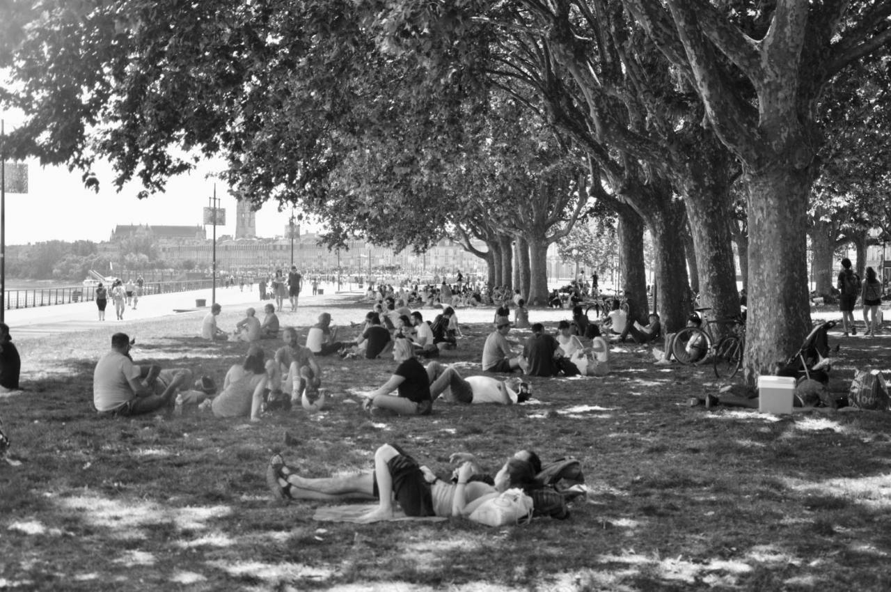 Romance Au Coeur De Bordeaux / Jardin Public Dış mekan fotoğraf